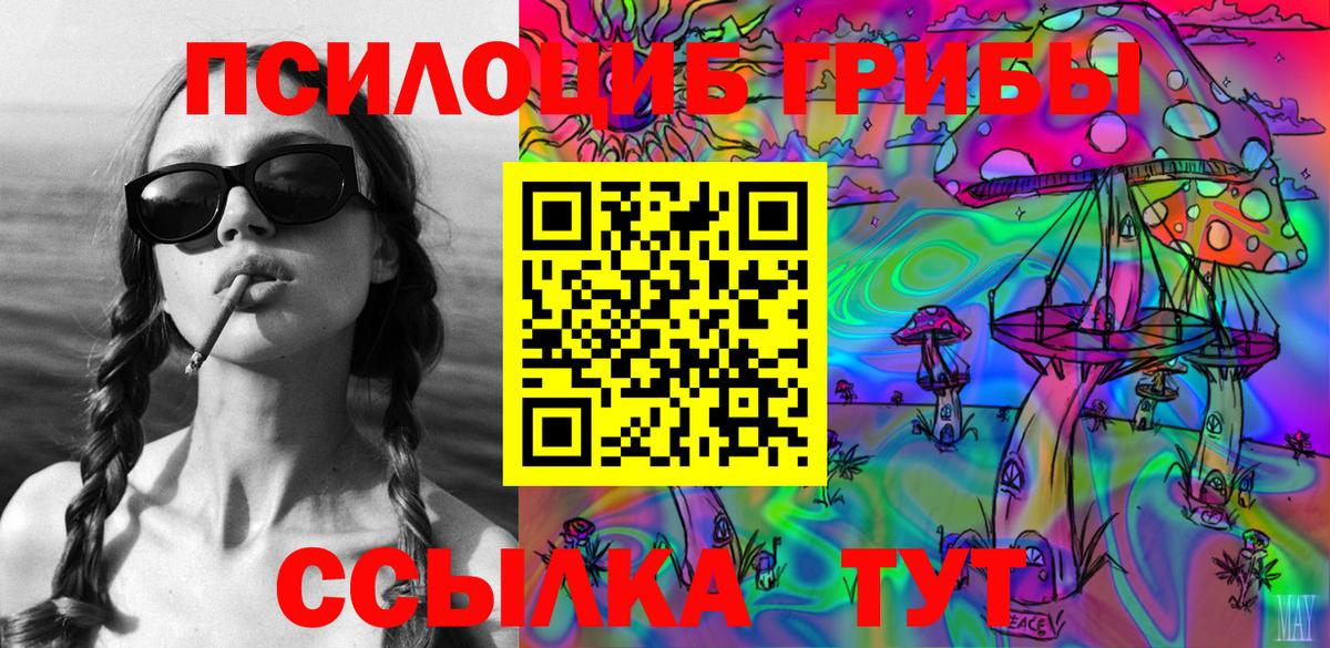 Холмск  Галлюциногенные грибы Cubensis  Вход с VPN 